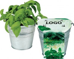 1065-5L