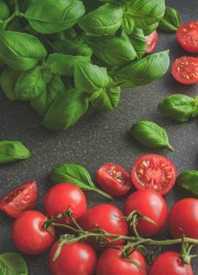basil_cocktail-tomato