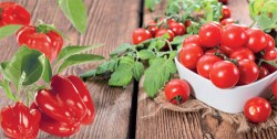 cocktail-tomato_pepper